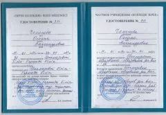 ЧЕМЕНЕВА инклюзия.jpg