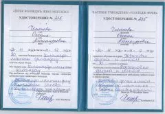 ЧЕМЕНЕВА подготовка детей к школе.jpg